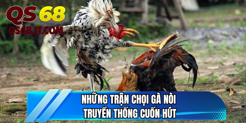 Những trận chọi gà nòi truyền thống cuốn hút 